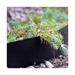 Nortene SELFIX BORDURA  gumi ágyásszegély 13 cm x 10 m fekete