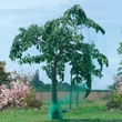 Nortene BIRDNET HDPE extrudált madárháló, rombusz szemformájú 2 x 10 m