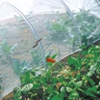 Nortene BIOCONTROL rovarvédő háló 2,2 x 10 m