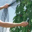 Nortene PRONET PE szőtt madárháló 5 x 6 m