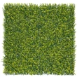 Nortene VERTICAL BUXUS zöldfal buxus levelekkel 1 x 1 m
