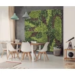 Nortene VERTICAL COSTA zöldfal vegyes levelekkel 1 x 1 m