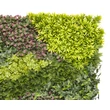 Nortene VERTICAL COSTA zöldfal vegyes levelekkel 1 x 1 m