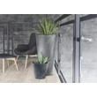 Prosperplast Virágcserép 250e tubus beton effect - antracit 