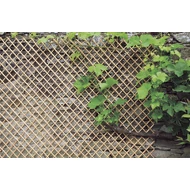 Nortene WICK TRELLIS fűzvessző nyitható apácarács 0,5 x 1,5 m
