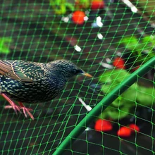 Nortene,BIRDNET HDPE extrudált madárháló, rombusz szemformájú 2 x 50 m