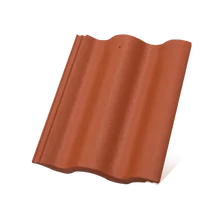 Terrán Synus Resistor korall