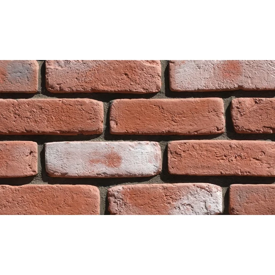 Stegu 
