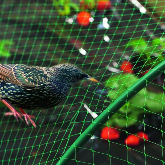 BIRDNET HDPE extrudált madárháló, rombusz szemformájú 2 x 10 m