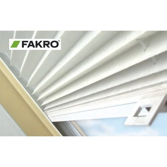 Fakro APD I.