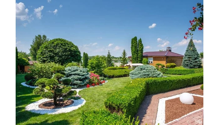 Nyári kerti teendők – amire figyelni kell!